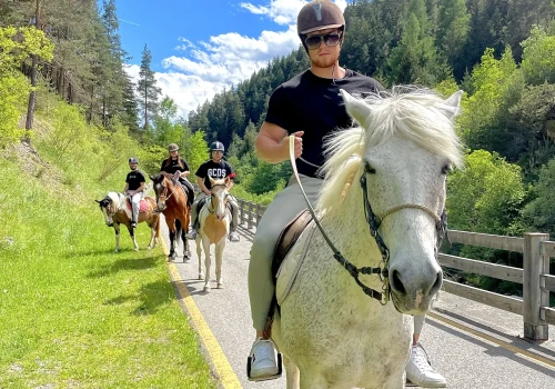 Persona che cavalca un cavallo bianco su un sentiero circondato da alberi e montagne.