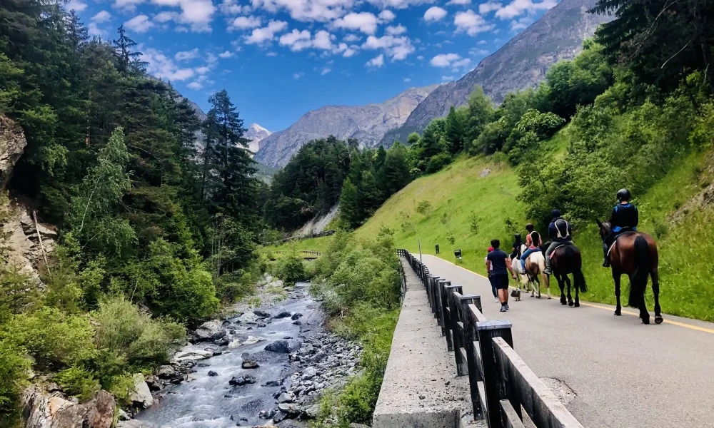 Passeggiata a cavallo lungo un sentiero di montagna con un torrente e pini sullo sfondo.