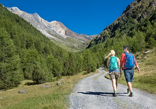 Due persone che fanno escursioni su un sentiero di montagna circondato da alberi e montagne.