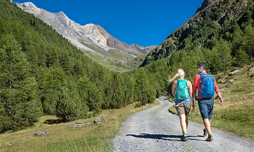 Due persone che fanno escursioni su un sentiero di montagna circondato da alberi e montagne.